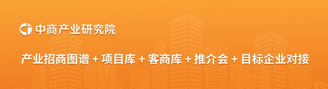 2024年上半年中国光伏发电累计装机容量以及不同形式光伏电站装机容量占比分析(图3)