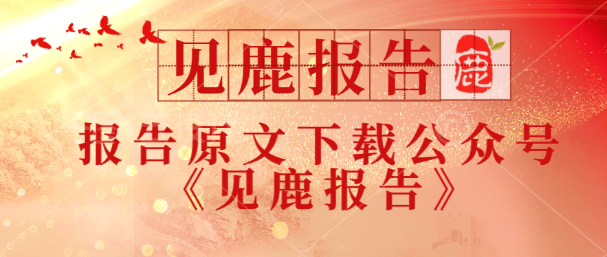 国家电网2024新能源发展报告：绿动未来电网如何引领能源转型？ title=