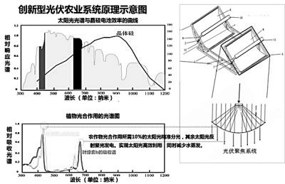 借“光”生金 拓宽致富路 title=